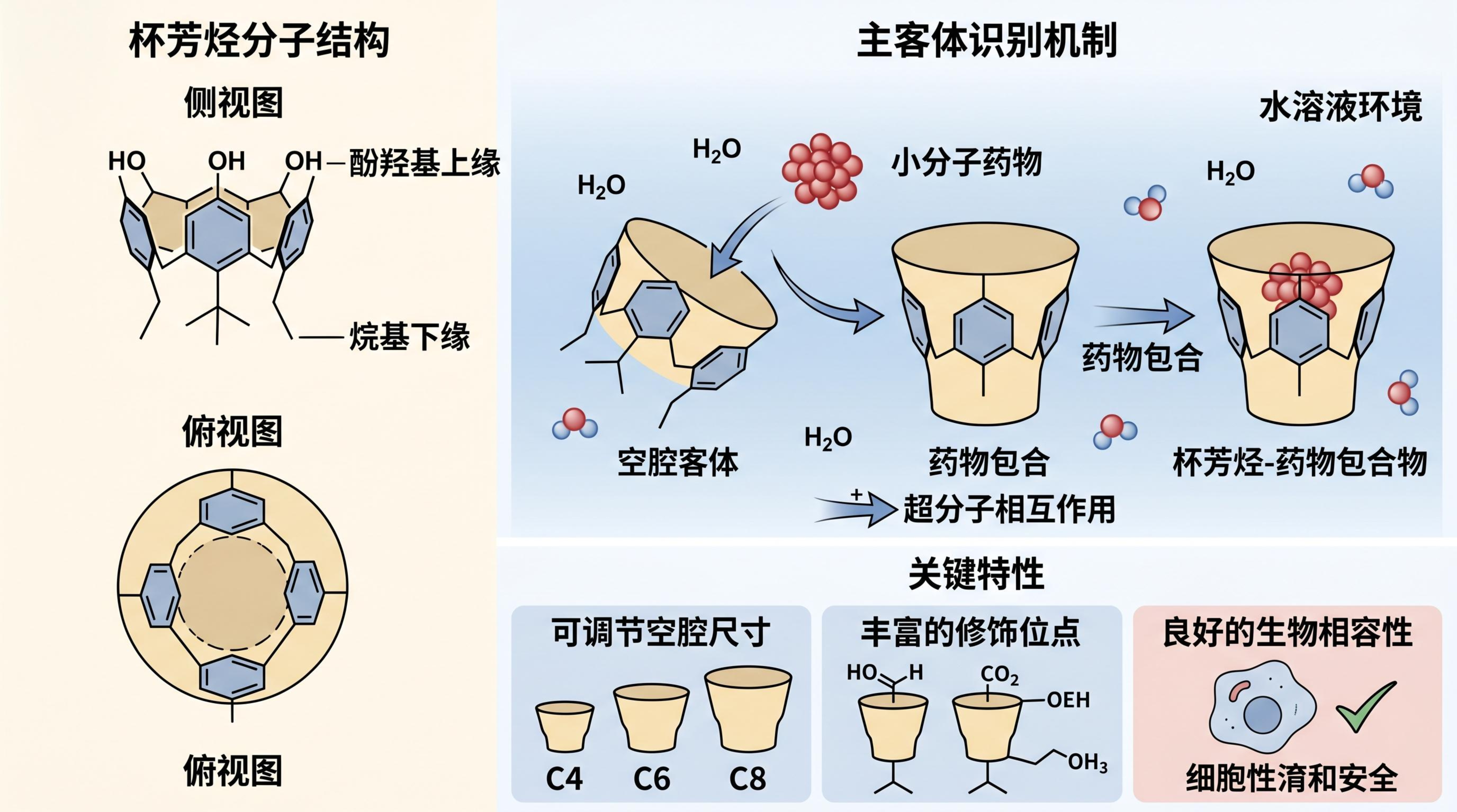 杯芳烃(Calixarene)分子结构及其主客体识别机制示意图.jpeg