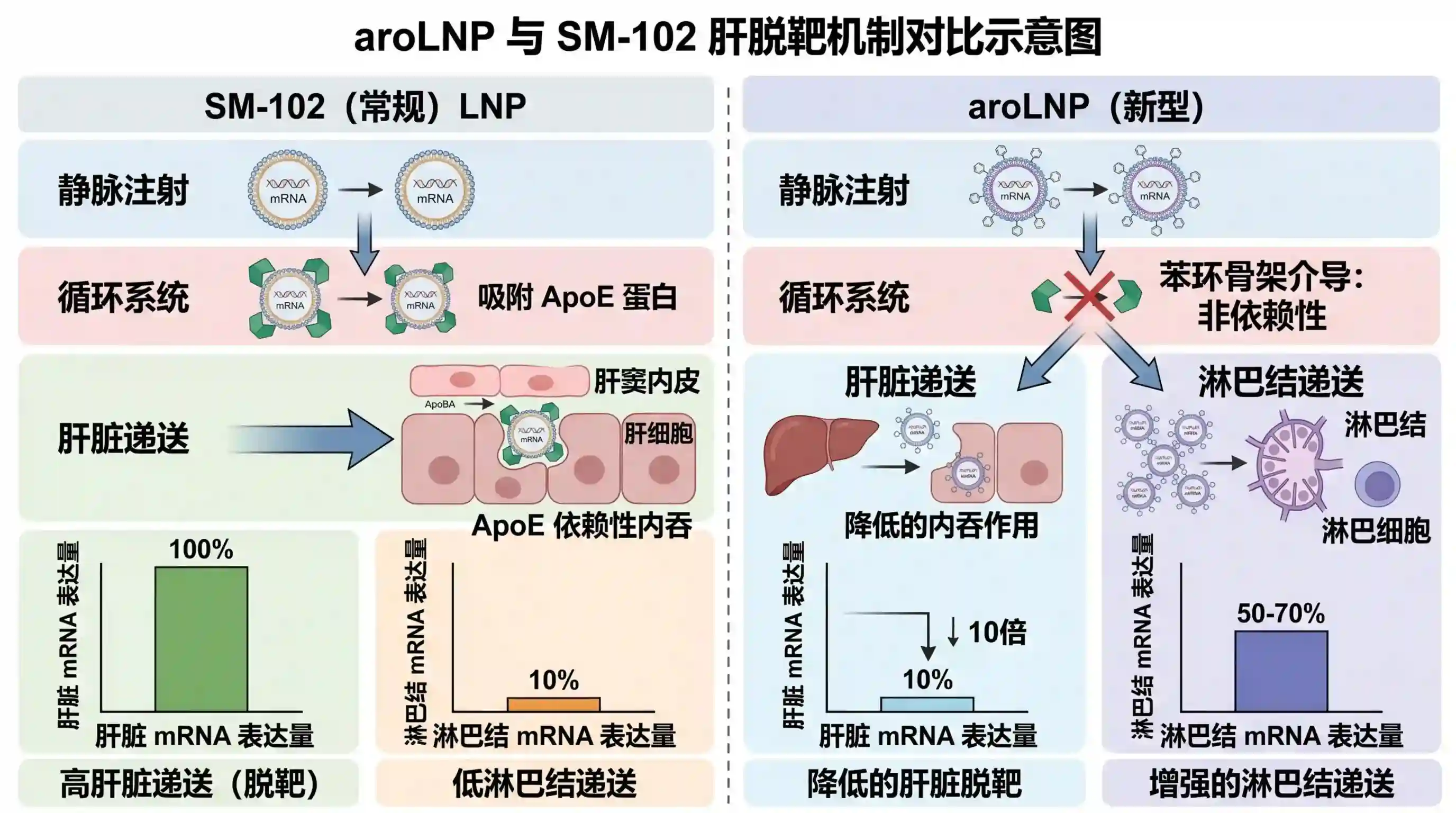LNP肝脱靶新突破：aroLNP如何用可电离脂质结构设计让LNP"绕开"肝脏