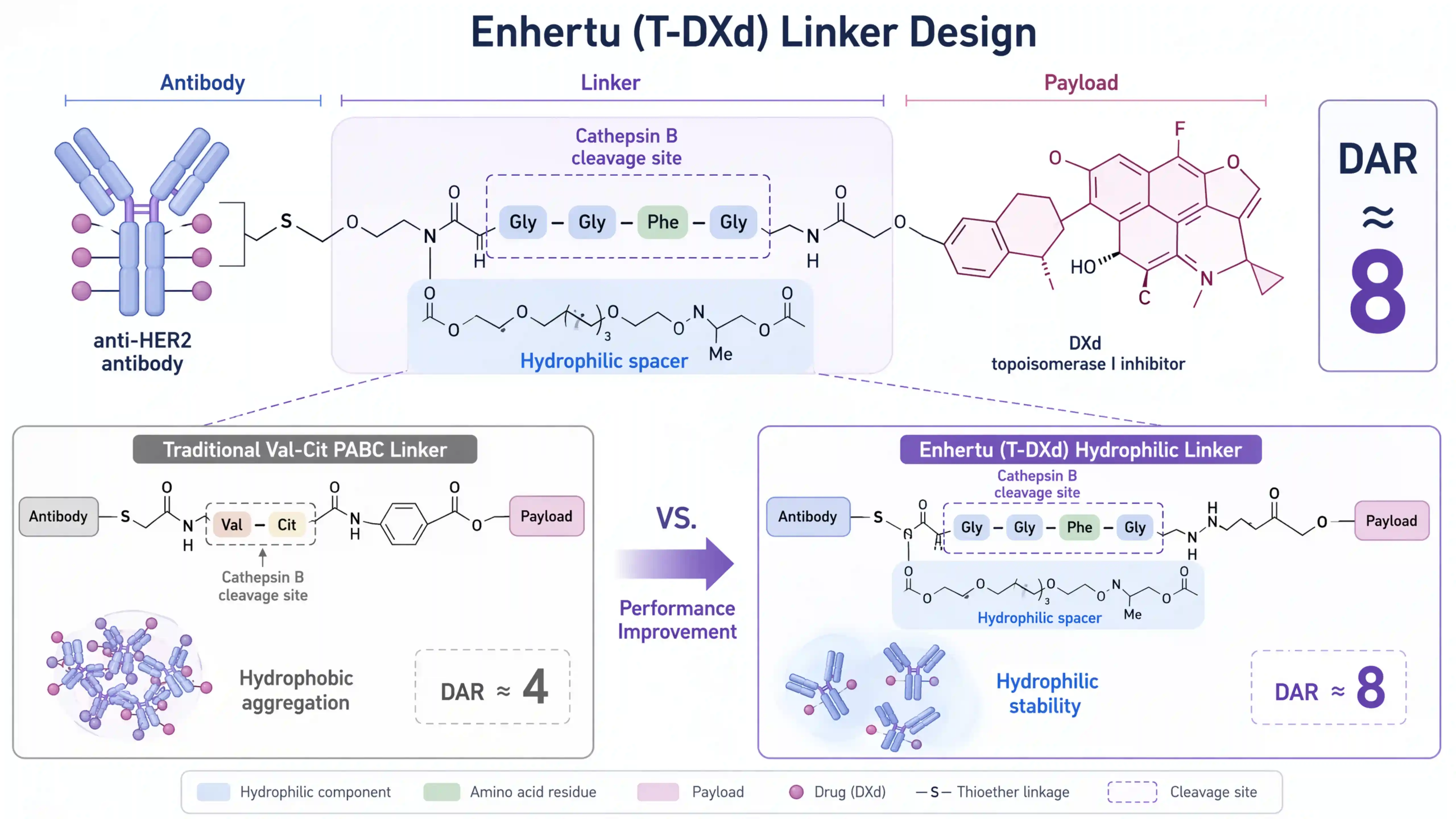 ADC linker市场全景：从不可裂解到酶裂解linker的技术演进与国产替代
