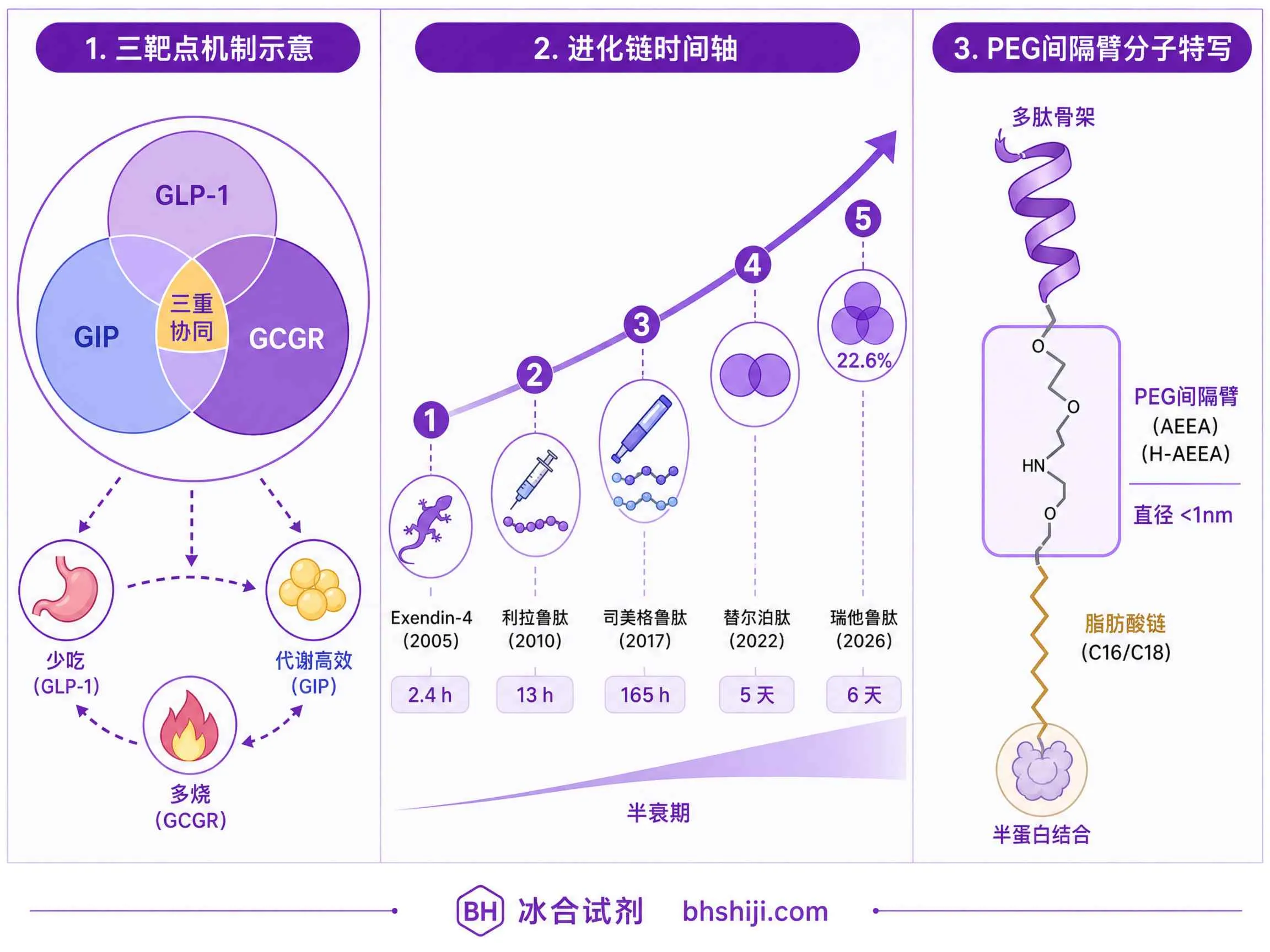 三靶点GLP-1时代来了——瑞他鲁肽III期成功，减重药物从