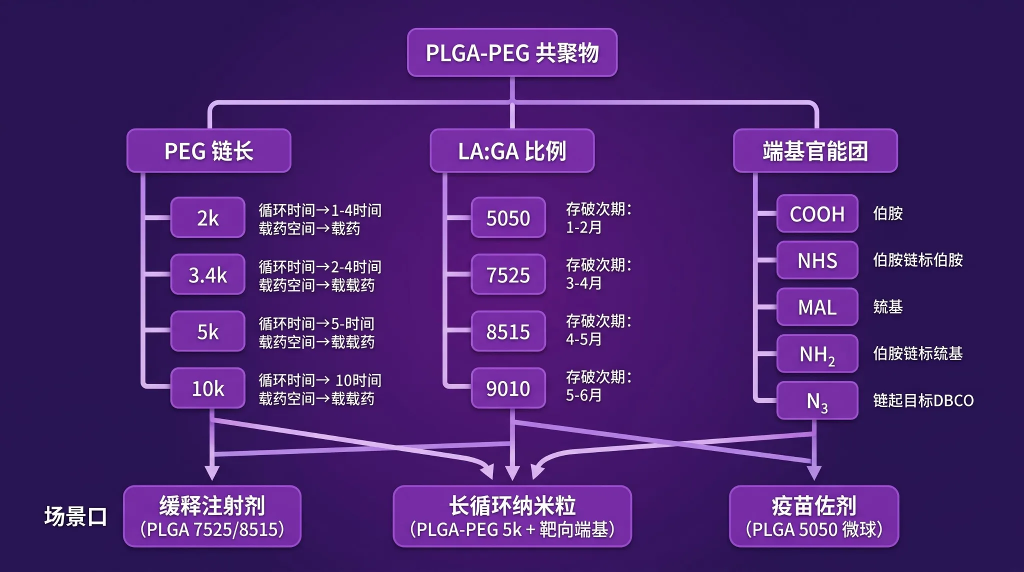 PLGA 三维决策树：链长 / 比例 / 端基