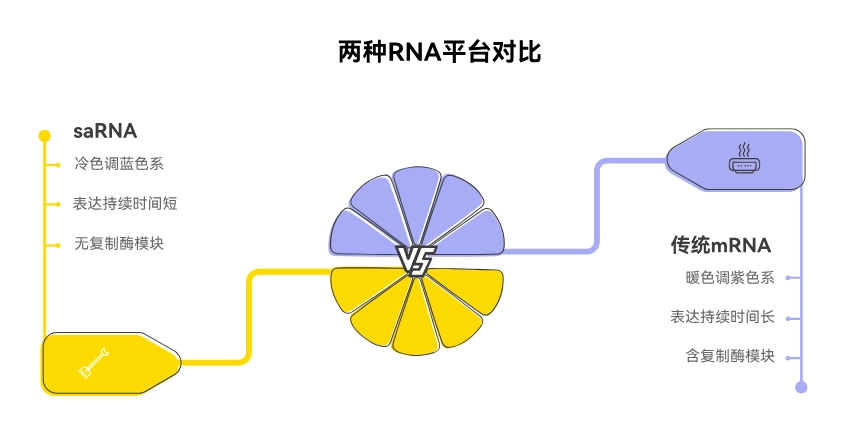 自复制RNA临床进展：mRNA 2.0 产业化卡位