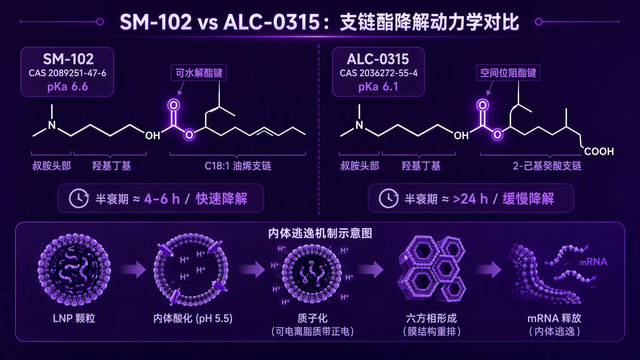 SM-102 vs ALC-0315：mRNA 疫苗的两套可电离脂质密码