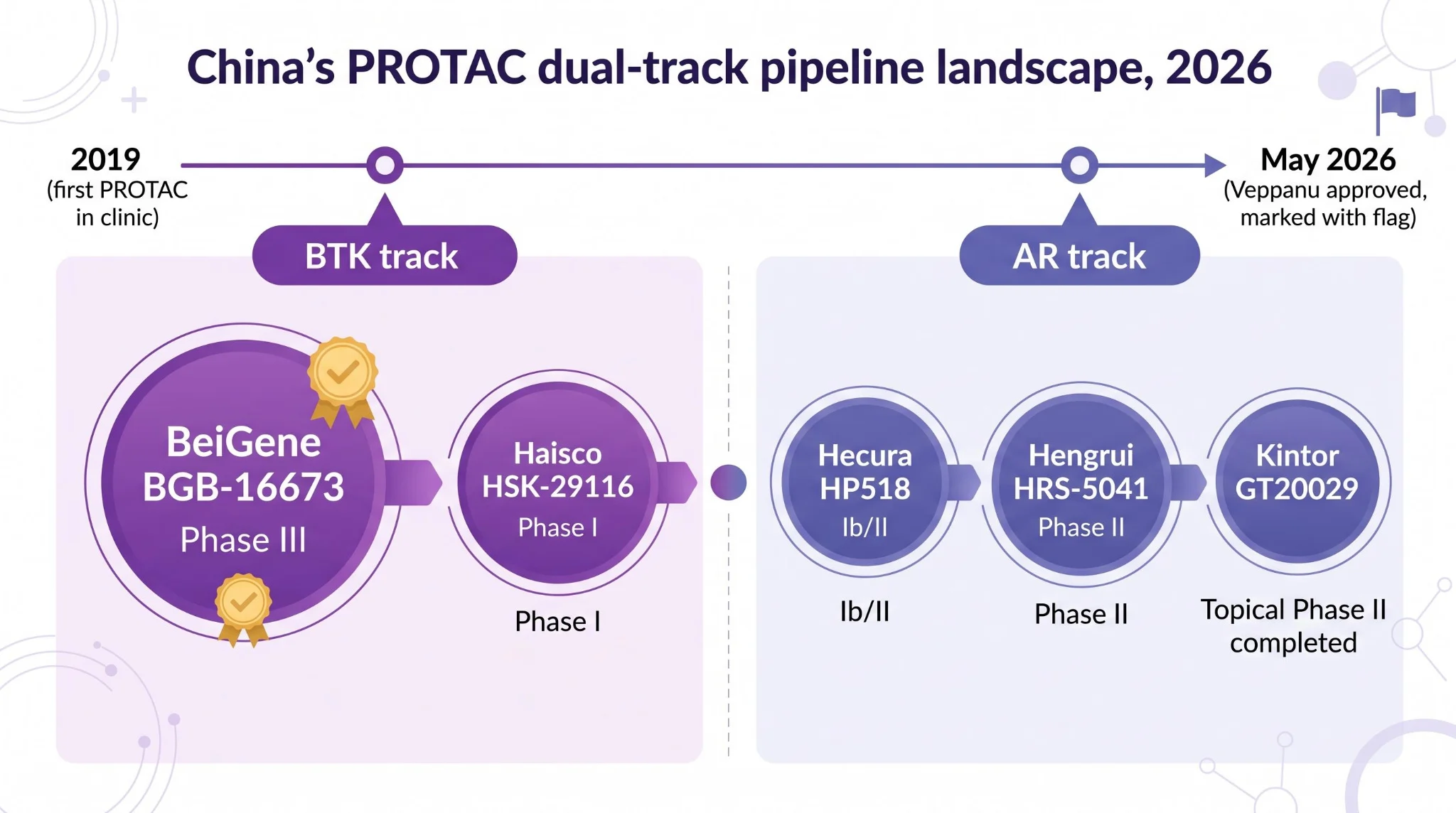 国内 PROTAC 第一波：BTK 与 AR 双赛道 2026 进度盘点